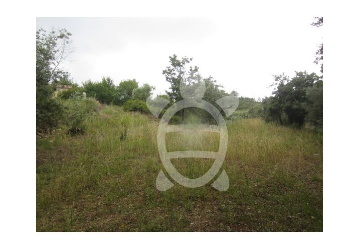Helårsgrund i Penela, Coimbra, Penela - € 24.500 | Ref: cdx0187 - foto 1
