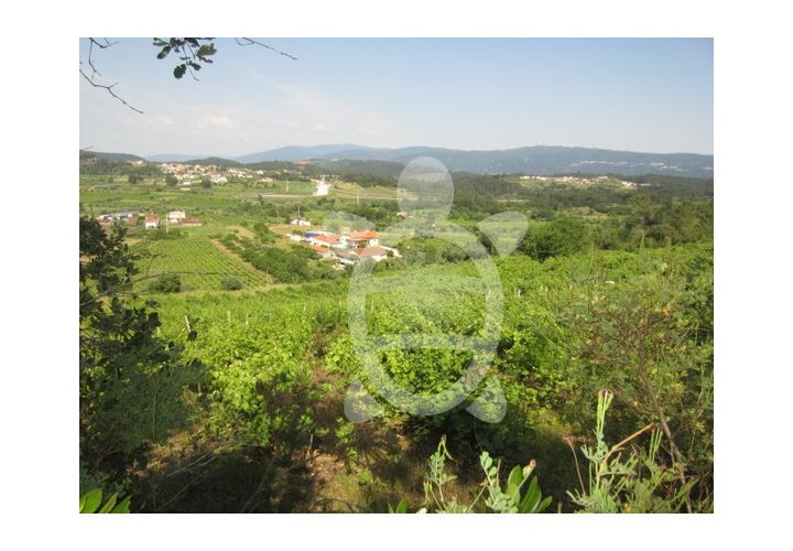 Helårsgrund i Miranda do Corvo, Coimbra, Miranda do Corvo - € 23.900 | Ref: cbr1562 - foto 1