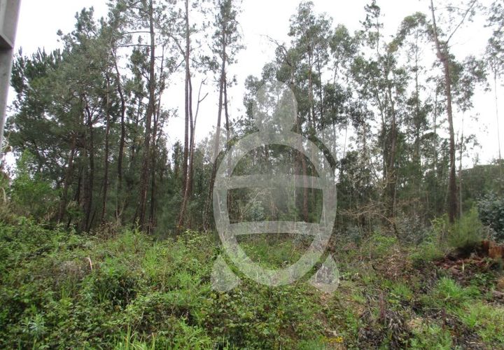 Helårsgrund i Coimbra, Coimbra, Coimbra - € 42.000 | Ref: cdx0173 - foto 1