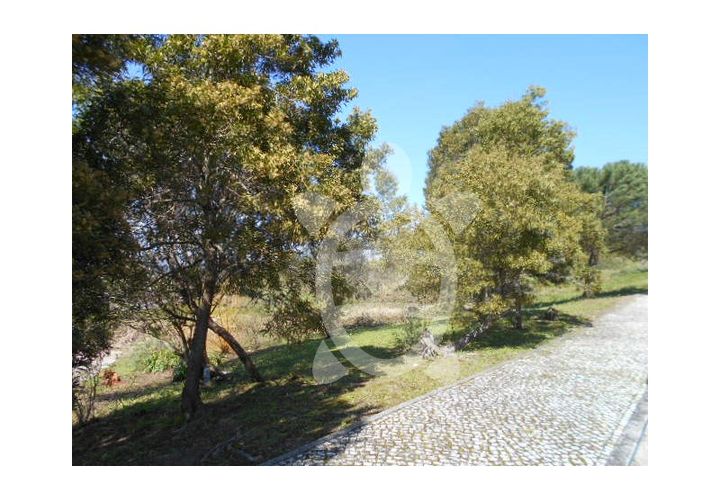 Helårsgrund i Tavarede, Coimbra, Tavarede - € 419.000 | Ref: ff0398 - foto 1