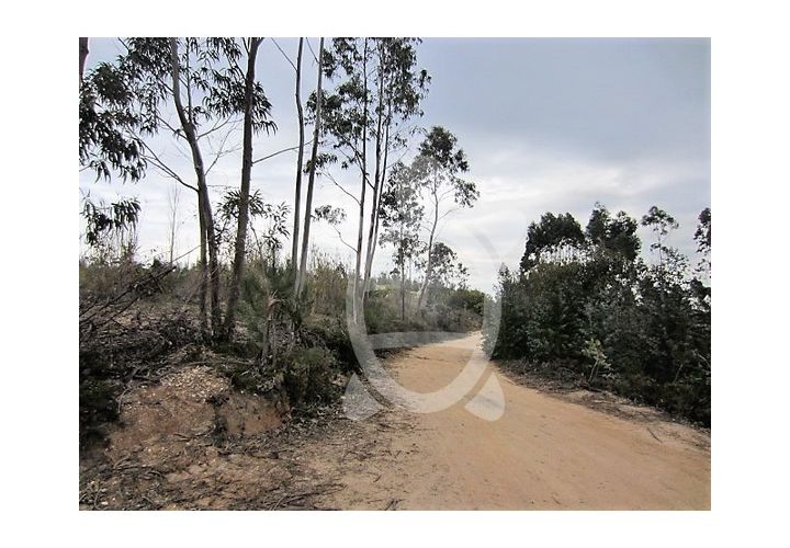 Terra a Vila Verde, Coimbra, Vila Verde - € 37.000 | Ref: ff0317 - foto 1