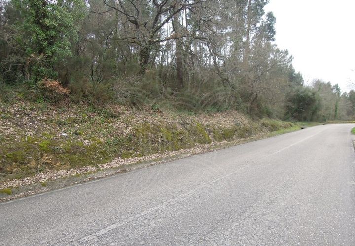 Tomt i Soure, Coimbra, Soure - € 70 000 | Ref: cdx0165 - foto 1