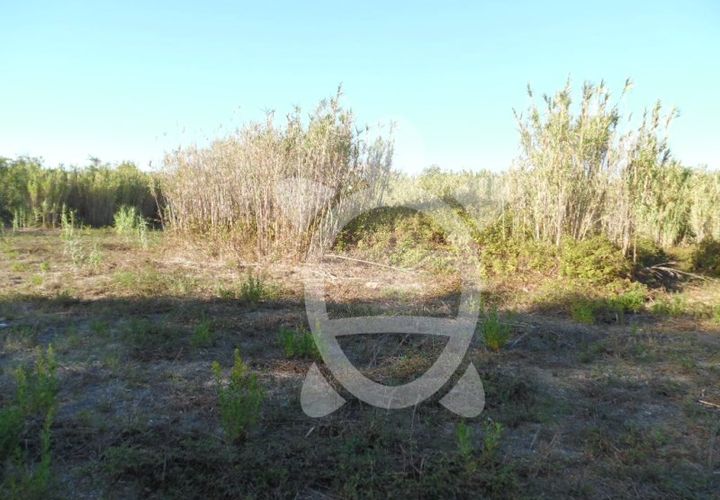 Helårsgrund i Condeixa-a-Nova, Coimbra, Condeixa-a-Nova - € 449.500 | Ref: cdx0136 - foto 1
