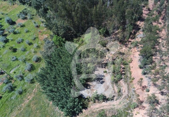 Helårsgrund i Miranda do Corvo, Coimbra, Miranda do Corvo - € 30.000 | Ref: cbr0674 - foto 1