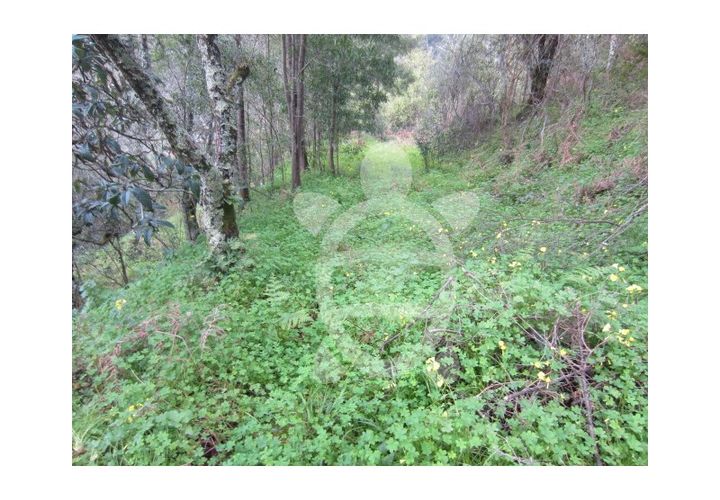Helårsgrund i Coimbra, Coimbra, Coimbra - € 46.500 | Ref: cbr0278 - foto 1
