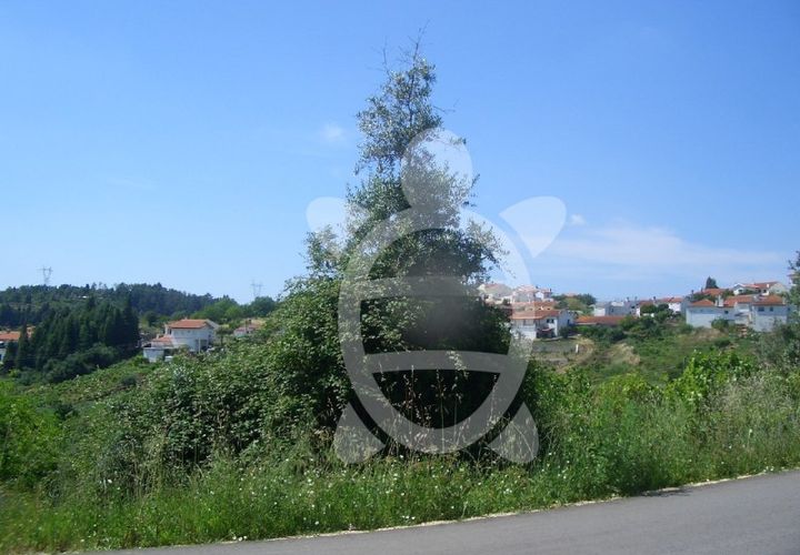 Terra a Assafarge e Antanhol, Coimbra, Assafarge e Antanhol - € 260.000 | Ref: 17-3187 - foto 1