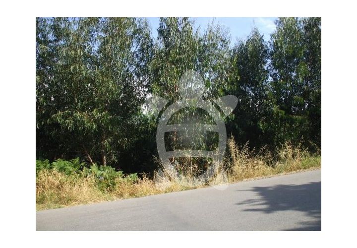 Tomt i Ceira, Coimbra, Ceira - € 189 900 | Ref: 17-1523 - foto 1