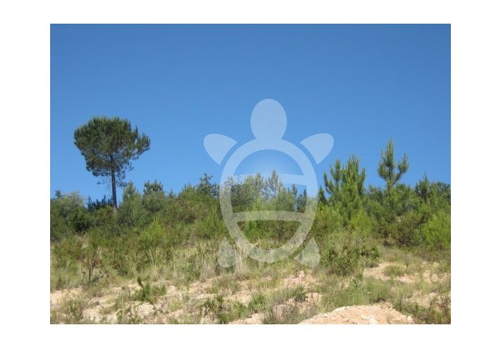 Helårsgrund i Assafarge e Antanhol, Coimbra, Assafarge e Antanhol - € 95.000 | Ref: 17-3177 - foto 1