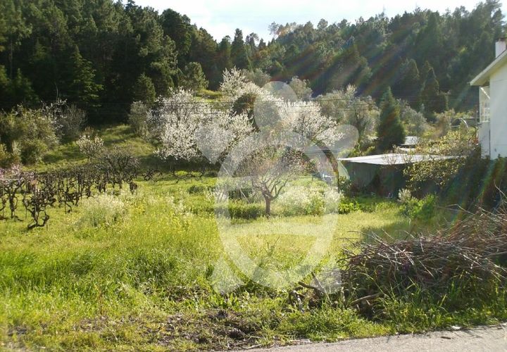 Helårsgrund i Assafarge e Antanhol, Coimbra, Assafarge e Antanhol - € 100.000 | Ref: 17-3728 - foto 1