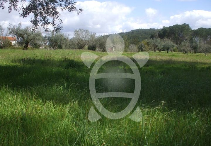 Tomt i Condeixa-a-Nova, Coimbra, Condeixa-a-Nova - € 75 000 | Ref: 17-2888 - foto 1