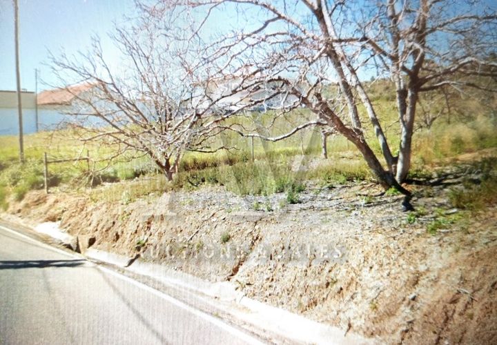 Terra a Batalha, Leiria, Batalha - € 135.000 | Ref: BTL1033 - foto 1