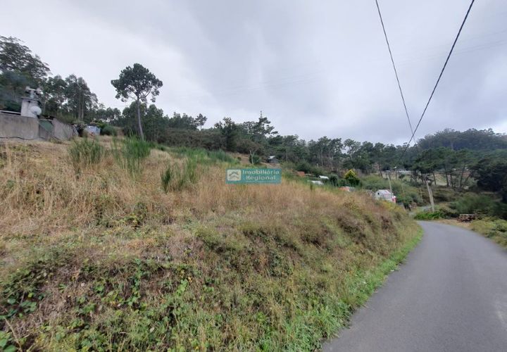 Terra a Camacha, Madeira, Camacha - € 70.000 | Ref: 1696 - foto 1