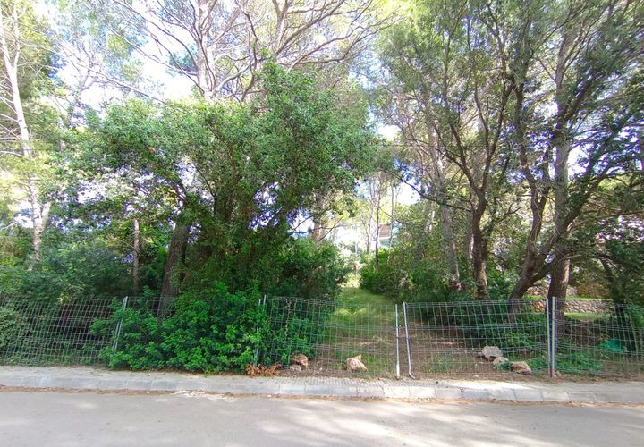 Terra a Port De Pollenca, Mallorca, Port De Pollenca - € 450.000 | Ref: PTP0634 - foto 1