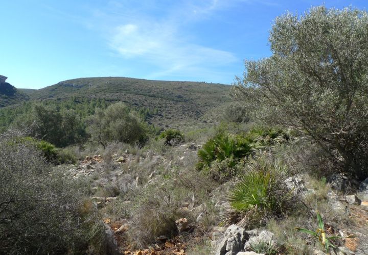 Helårsgrund i Benigembla, Alicante, Benigembla - € 90.000 | Ref: 001558 - foto 1