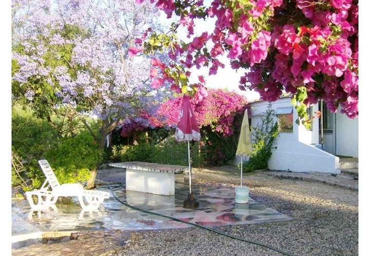 Farm i Tavira, Faro, Tavira - € 369.000 | Ref: BPRE064 - foto 1