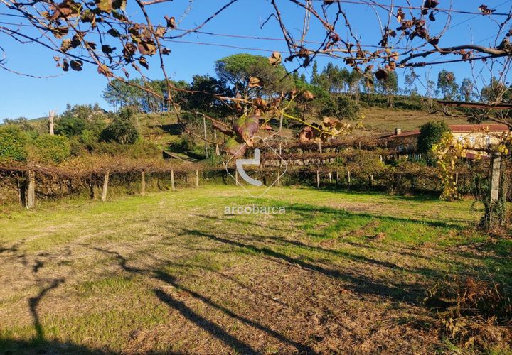 Terra a Ponte de Lima, Viana do Castelo, Ponte de Lima - € 37.500 | Ref: AV6158 - foto 1
