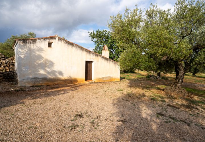 Finca i Ulldecona, Tarragona, Ulldecona - € 39.000 | Ref: 136 - foto 1