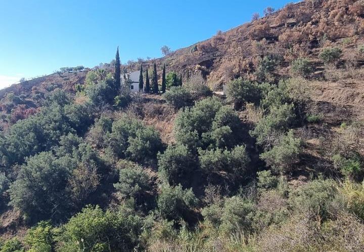 Tomt i Almunecar, Granada, Almunecar - € 63 000 | Ref: 679 - foto 1