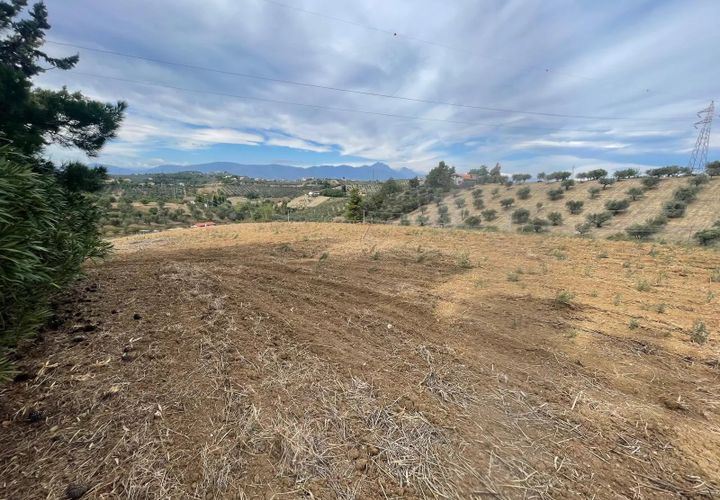 Terra a Moscufo, Pescara, Moscufo - € 27.000 | Ref: 85363843 - foto 1