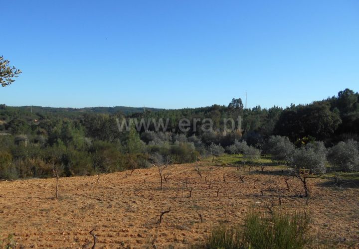 Helårsgrund i Castelo Branco, Castelo Branco, Castelo Branco - € 17.500 | Ref: 102220070 - foto 1