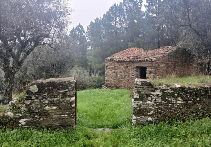 Landejendom i Castelo Branco, Castelo Branco, Castelo Branco - € 12.000 | Ref: 102220262 - foto 1