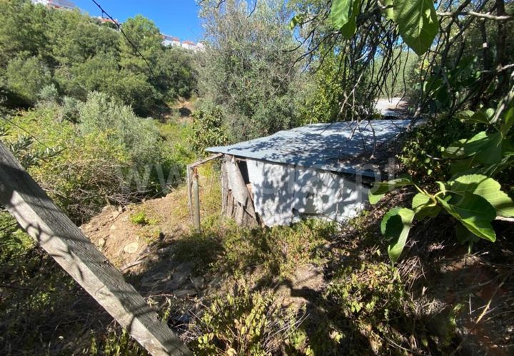 Landejendom i Castelo Branco, Castelo Branco, Castelo Branco - € 15.000 | Ref: 102230224 - foto 1