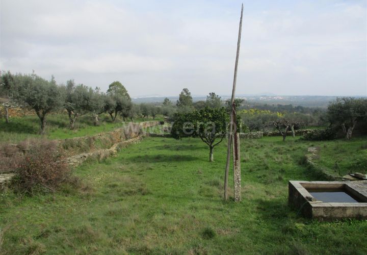 Landejendom i Castelo Branco, Castelo Branco, Castelo Branco - € 30.000 | Ref: 102240021 - foto 1