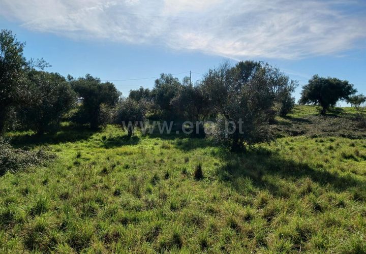 Landejendom i Castelo Branco, Castelo Branco, Castelo Branco - € 14.500 | Ref: 102240026 - foto 1