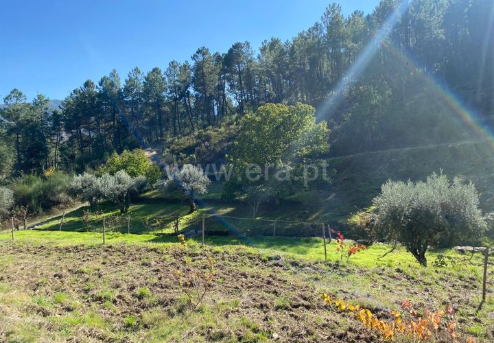 Landejendom i Fundao, Castelo Branco, Fundao - € 19.500 | Ref: 255240210 - foto 1