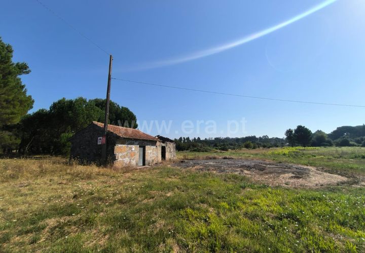 Terra a Nelas, Viseu, Nelas - € 36.500 | Ref: 389240129 - foto 1