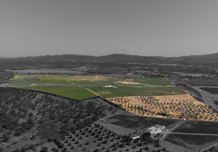 Grond in Redondo, Evora, Redondo - € 1.350.000 | Ref: CC1055-2255 - foto 1