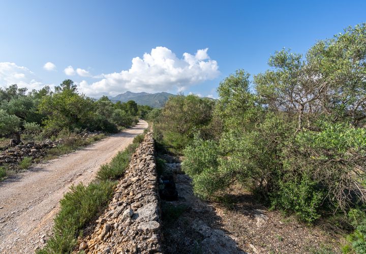 Finca i Xerta, Tarragona, Xerta - € 15.000 | Ref: 141 - foto 1