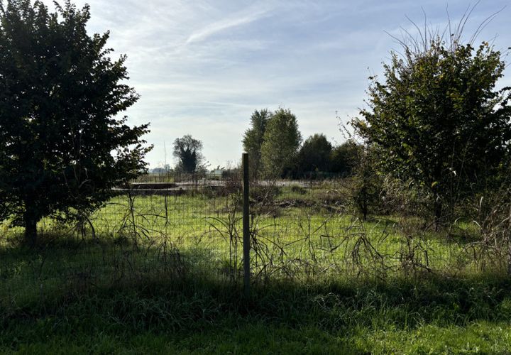 Terra a Conselve, Padua, Conselve - € 250.000 | Ref: L45 - foto 1