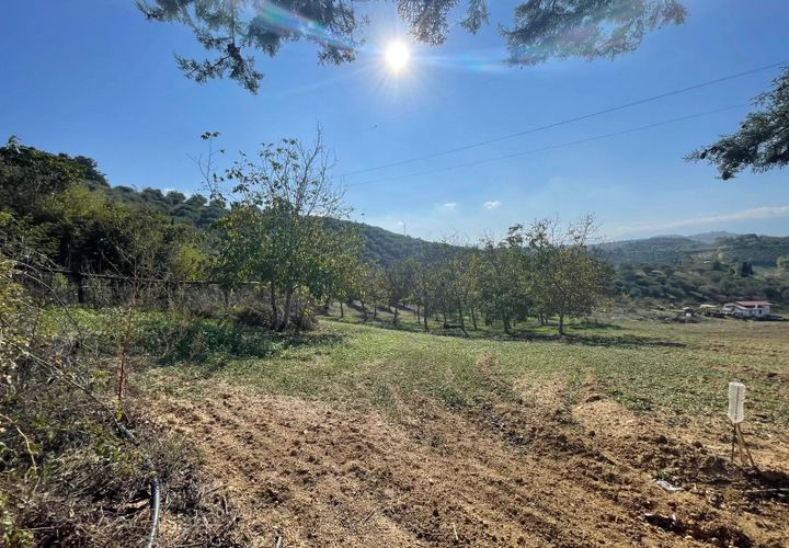 Terra a Moscufo, Pescara, Moscufo - € 37.000 | Ref: 85408323 - foto 1