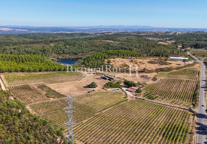Landejendom i Castelo Branco, Castelo Branco, Castelo Branco - € 730.000 | Ref: FG36 - foto 1