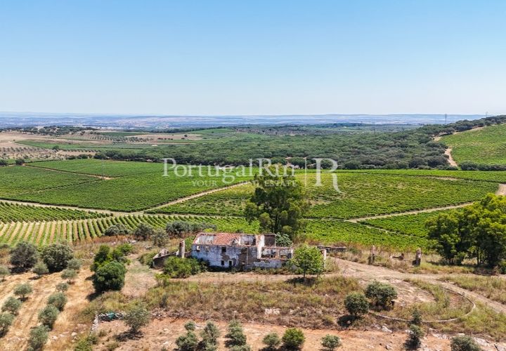 Landejendom i Arcos, Evora, Arcos - € 1.490.000 | Ref: FG446 - foto 1