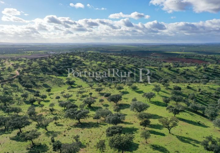 Landejendom i Evora, Evora, Evora - € 7.500.000 | Ref: TG3258 - foto 1
