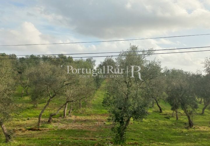 Terra a Serpa, Beja, Serpa - € 60.000 | Ref: JR693-3 - foto 1