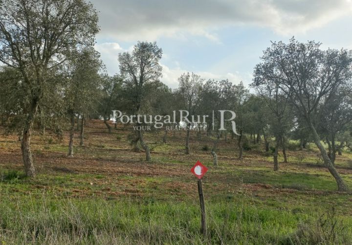 Helårsgrund i Serpa, Beja, Serpa - € 90.000 | Ref: JR693-2 - foto 1