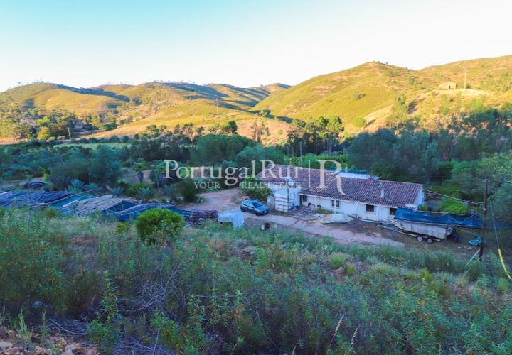 Landejendom i Silves, Faro, Silves - € 1.200.000 | Ref: JF48 - foto 1