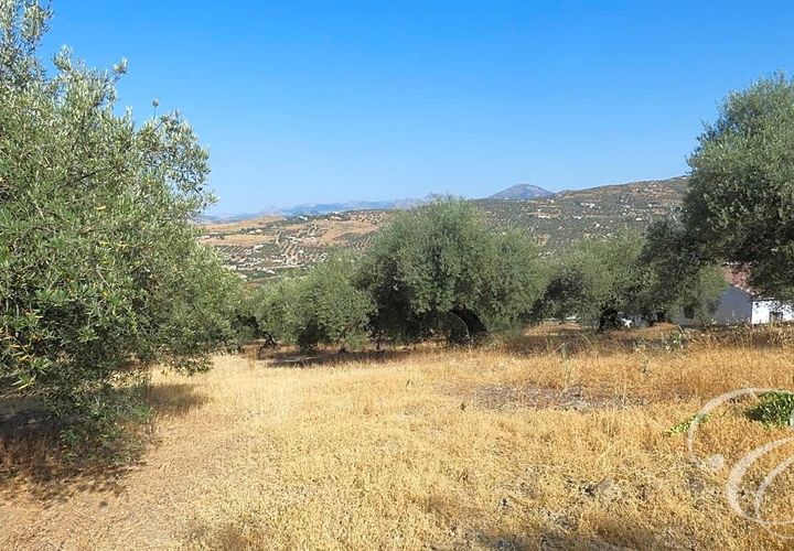 Landejendom i Alcaucin, Malaga, Alcaucin - € 350.000 | Ref: XL3868 - foto 1