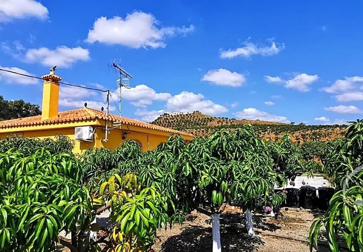 Landejendom i Velez Malaga, Malaga, Velez Malaga - € 299.000 | Ref: XL3780 - foto 1