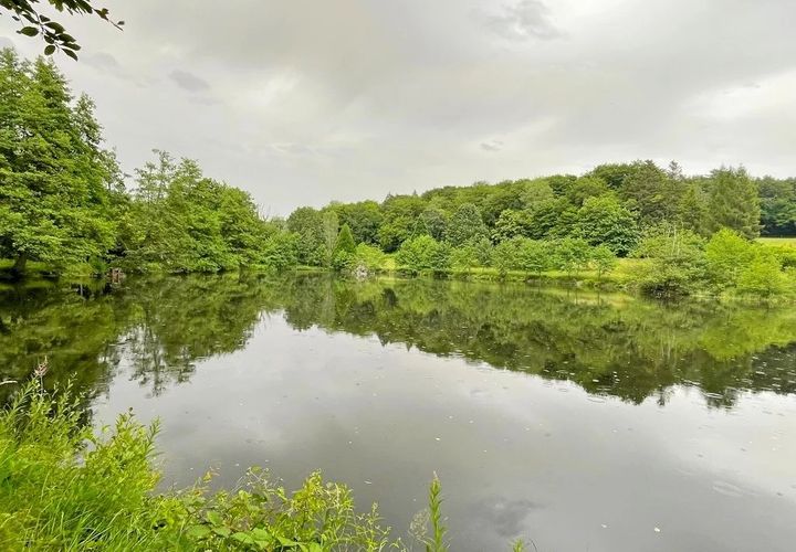Terra a Flassy, Nievre, Flassy - € 169.000 | Ref: 4615 - foto 1