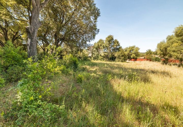 Tomt i Pollenca, Mallorca, Pollenca - € 325 000 | Ref: POL0589 - foto 1