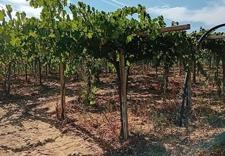 L'establiment comercial a Tollo, Chieti, Tollo - € 45.000 | Ref: OR506 - foto 1