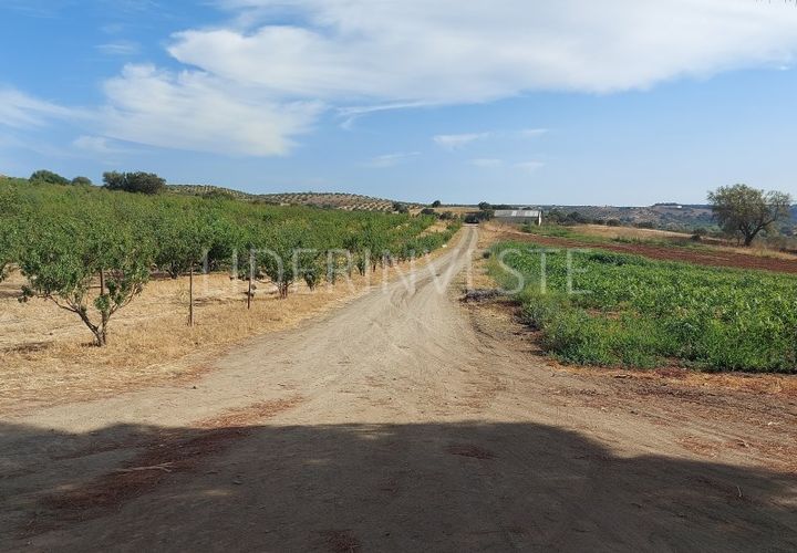 Landejendom i Serpa, Beja, Serpa - € 1.300.000 | Ref: H21968 - foto 1