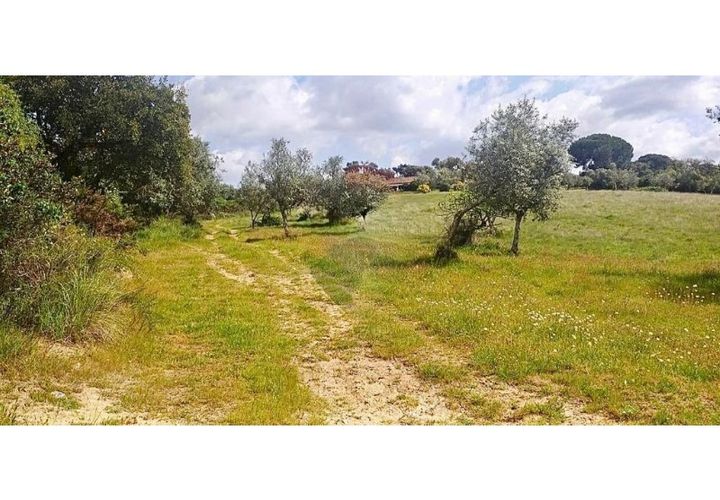 Terra a Montargil, Portalegre, Montargil - € 65.000 | Ref: W6318 - foto 1