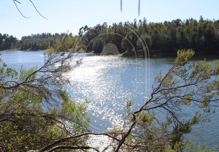 Helårsgrund i Tomar, Santarem, Tomar - € 34.000 | Ref: TAM_264 - foto 1