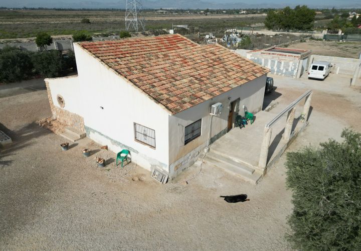 Masia a Elche, Alicante, Elche - € 295.000 | Ref: SP4160 - foto 1