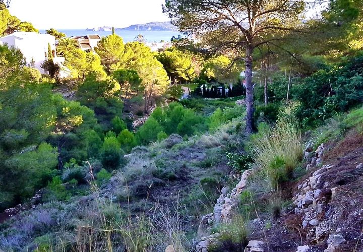 Terra a Javea, Alicante, Javea - € 435.000 | Ref: HO233198 - foto 1